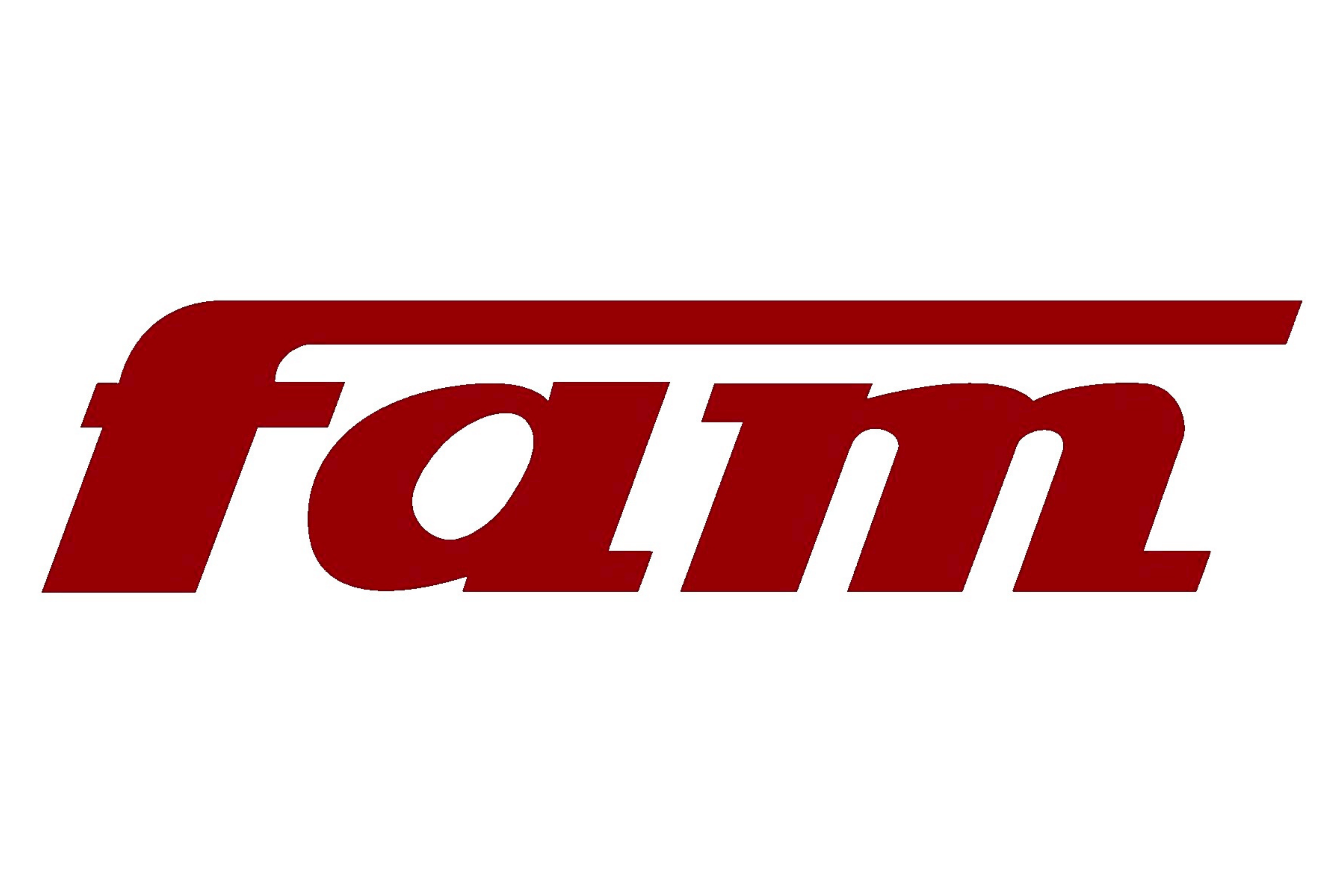 Logo FAM-Technika Odlewnicza Sp. z o.o.