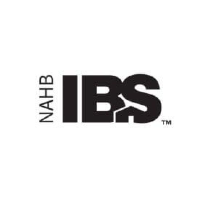 IBS logo