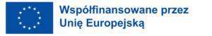 logo współfinansowani przez unię europejską